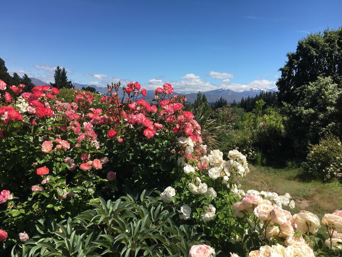 Mitchella Farm Apartment Wanaka Luaran gambar